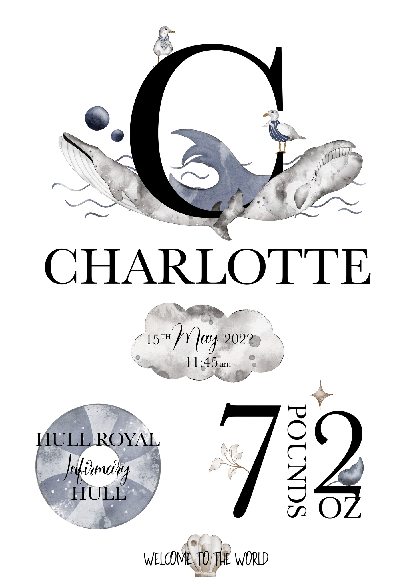 Personalised Newborn Baby Gift With Birth Details - Seagull Sailor Theme